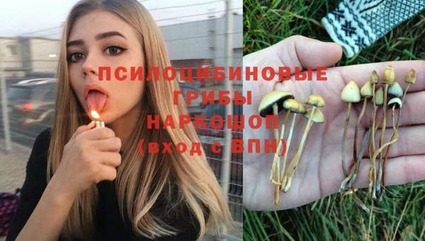 молекула духа Лихославль