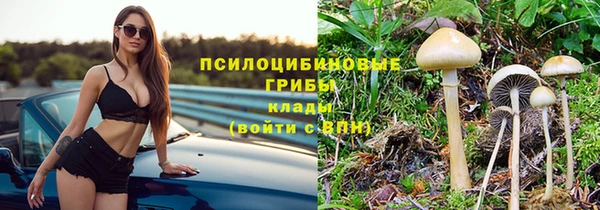 мяу мяу кристалл Липки