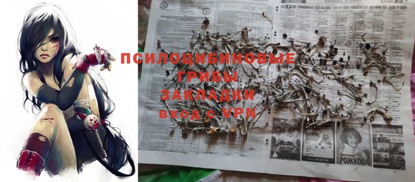 молекула духа Лихославль