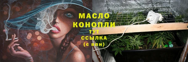 молекула духа Лихославль