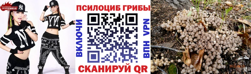 Галлюциногенные грибы прущие грибы  Елизаветинская 